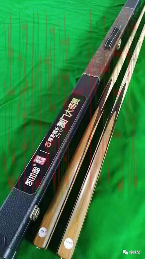 探索尊龙体育登录入口的精彩世界 探索尊龙体育登录入口的精彩世界